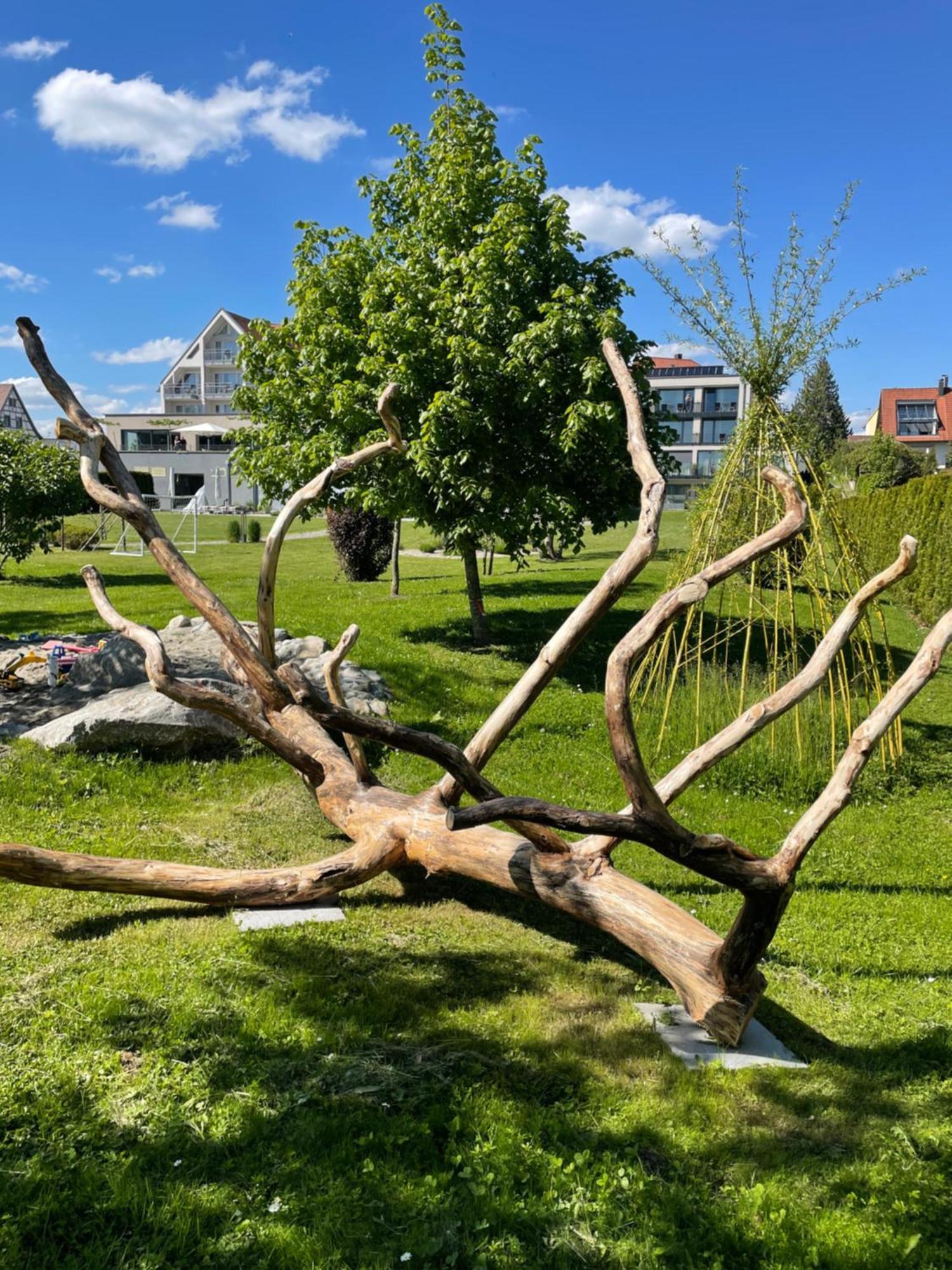 Hotel Traube Am See FDH Exterior photo