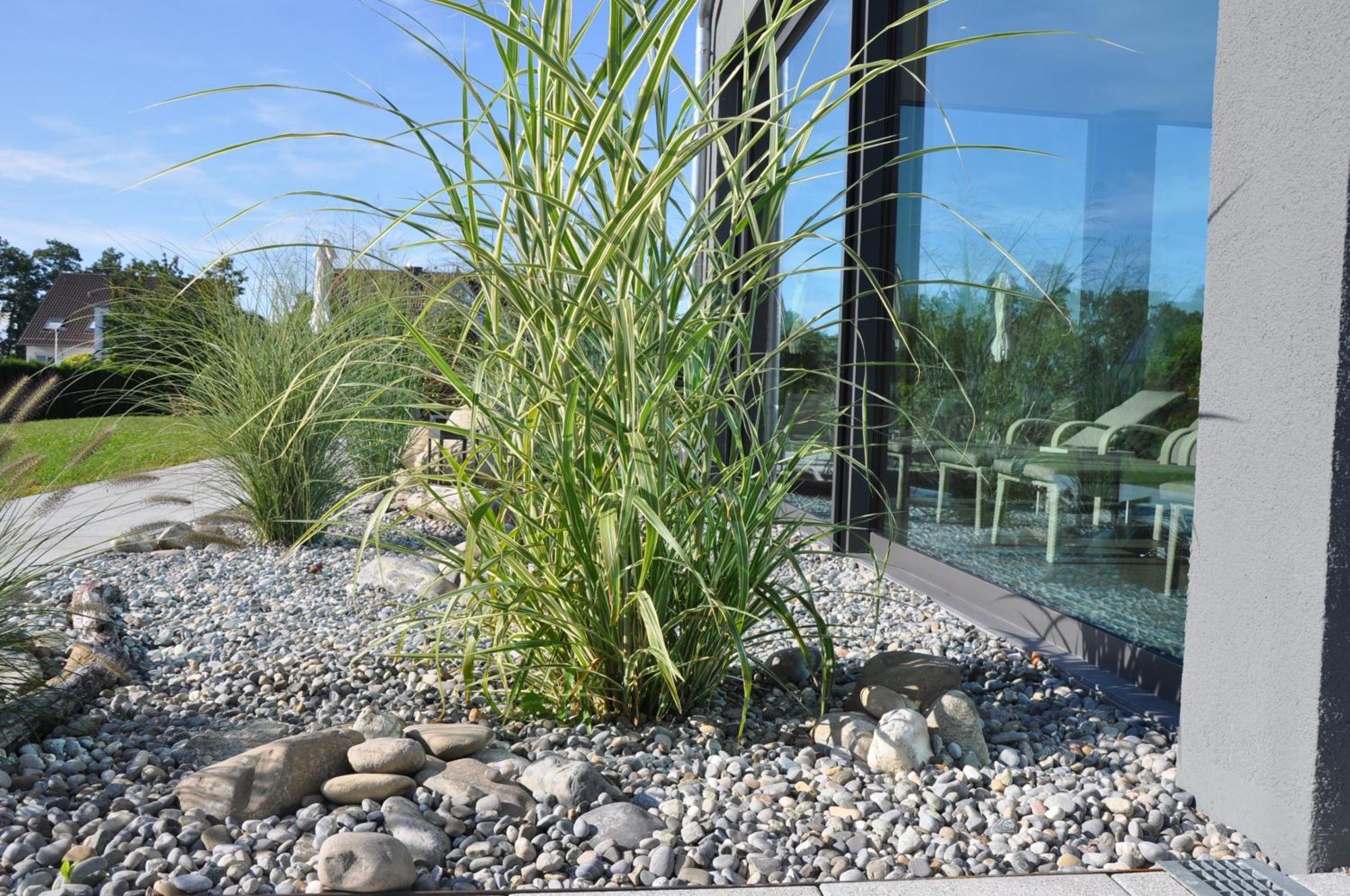 Hotel Traube Am See FDH Exterior photo